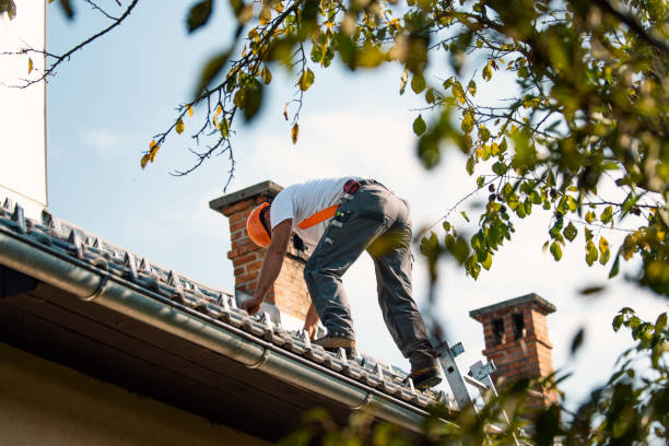Best Tile Roofing Contractor  in Bellevue, IL