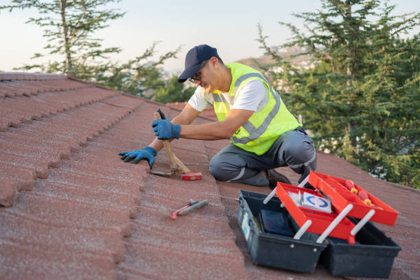 Quick and Trustworthy Emergency Roof Repair Services in Bellevue, IL