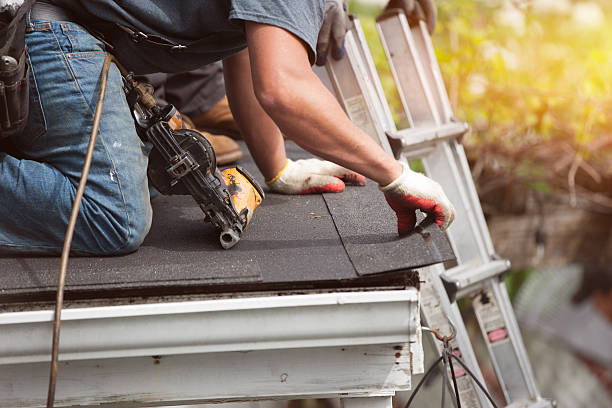 Professional Roofing Contractor in Bellevue, IL