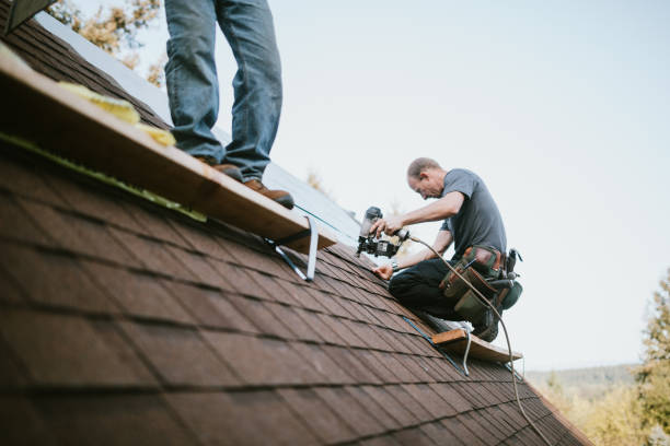 Roof Gutter Cleaning in Bellevue, IL